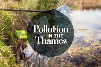 Plastic Pollution in the River Thames: A Call to Action