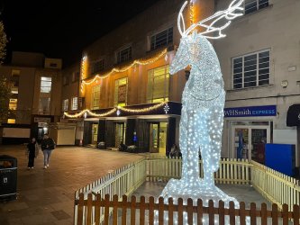 New, energy conscious Christmas lights for Richmond